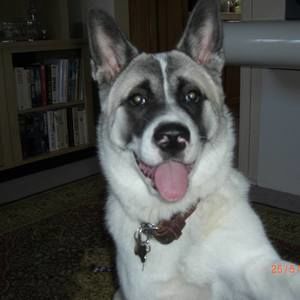 Meet your Posher, Rick